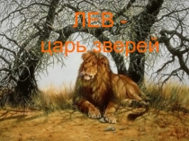 Лев-царь зверей