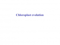 Chloroplast evolution