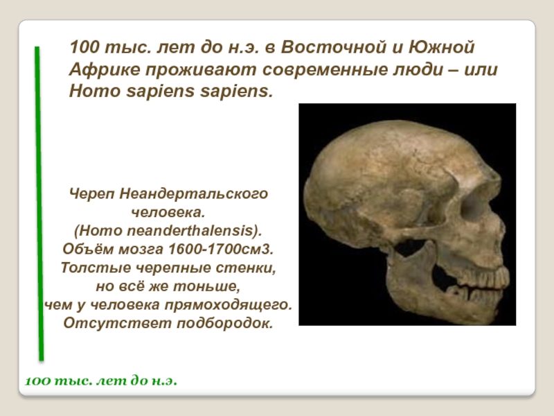 Живущий 2 тысячи лет. Объем мозга 1200-1600. Объем мозга 1400-1900 череп. Объем мозга 1200-1600 череп человека. Черепа людей каменного века.