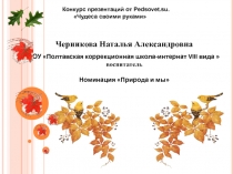 Поделки из природных материалов