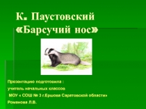 Барсучий нос К. Паустовский