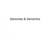 Genomes & Genomics