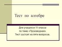 Тест по алгебре (11 класс)