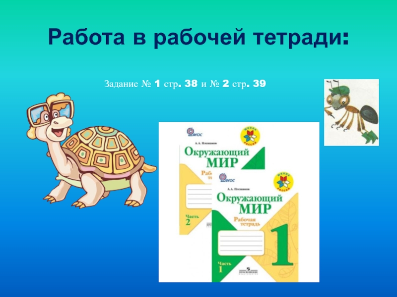 Презентация по окружающему миру почему нужно чистить зубы и мыть руки