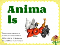 Animals