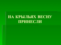 На крыльях весну принесли