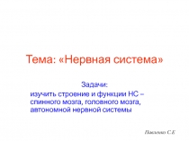 Нервная система