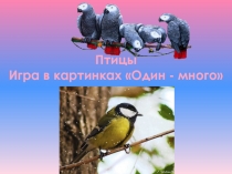 Птицы