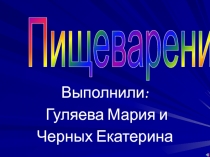 Пищеварение