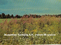 Л.Н. Толстой