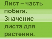 Лист - часть побега. Значение листа для растения