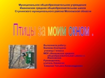 Птицы за моим окном