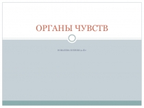 Органы чувств
