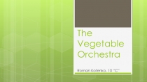 TheVegetable Orchestra