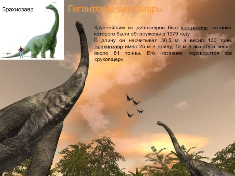 Гигантские динозаврыКрупнейшим из динозавров был ультразавр, останки которого были обнаружены в 1979 году. В длину он насчитывал