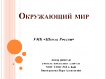 Наша дружная семья