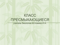 Знакомство с классом пресмыкающихся