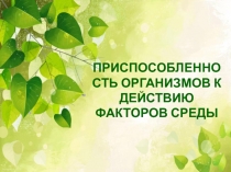 Приспособленность организмов к действию факторов среды