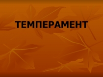 Темперамент