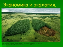 Экономика и экология