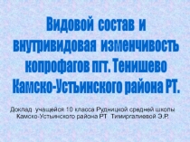 Видовой состав и внутривидовая изменчивость копрофагов