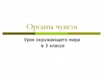 Строение органов чувств