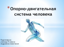 Строение опорно-двигательной системы человека