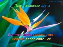 Прикосновение цвета