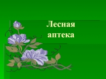 Лесная аптека