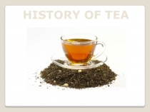 HISTORY OF TEA