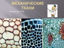 Механические ткани