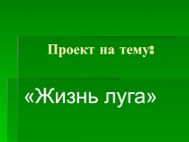 Жизнь луга