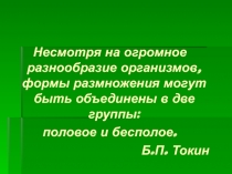 Формы размножения организмов. Бесполое размножение