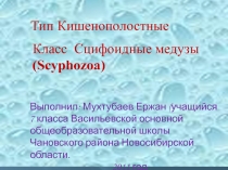 Тип Кишечнополостные Класс Сцифоидные медузы