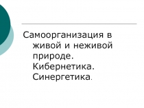 Самоорганизация в живой и неживой природе