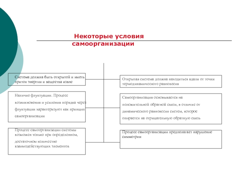 Система должна. Система должна быть открытой. Процесс самоорганизации в химии. Принципы самоорганизации. Примеры самоорганизации в неживой природе.