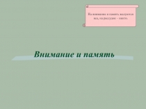 Внимание и память