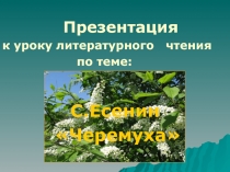 Черемуха С. Есенин