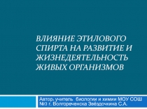 Влияние этилового спирта на развитие живых организмов