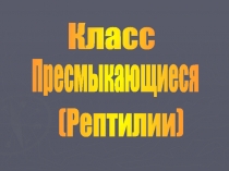 Класс Пресмыкающиеся. Рептилии