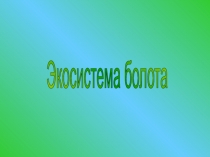 Экосистема болота