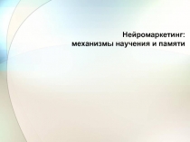 Нейромаркетинг: механизмы научения и памяти