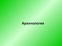 Арахнология