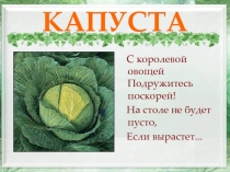 Капуста