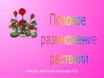 Половое размножение растений