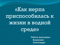 Как нерпа приспособилась к водной среде