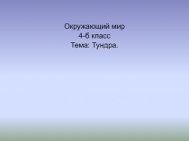 Мир тундры