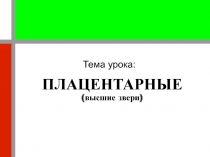 Плацентарные (высшие звери)