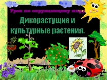 Дикорастущие и культурные растения