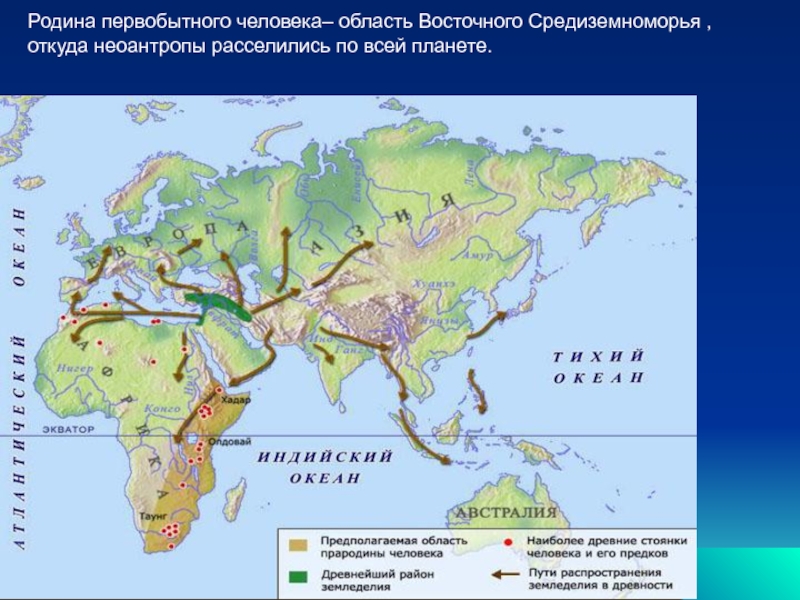 Карта происхождение человека